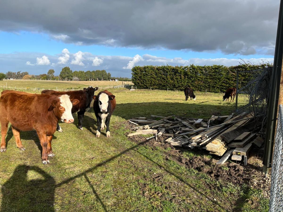 Bed and Breakfast Ra-Ata Farm Rangiora Exterior foto